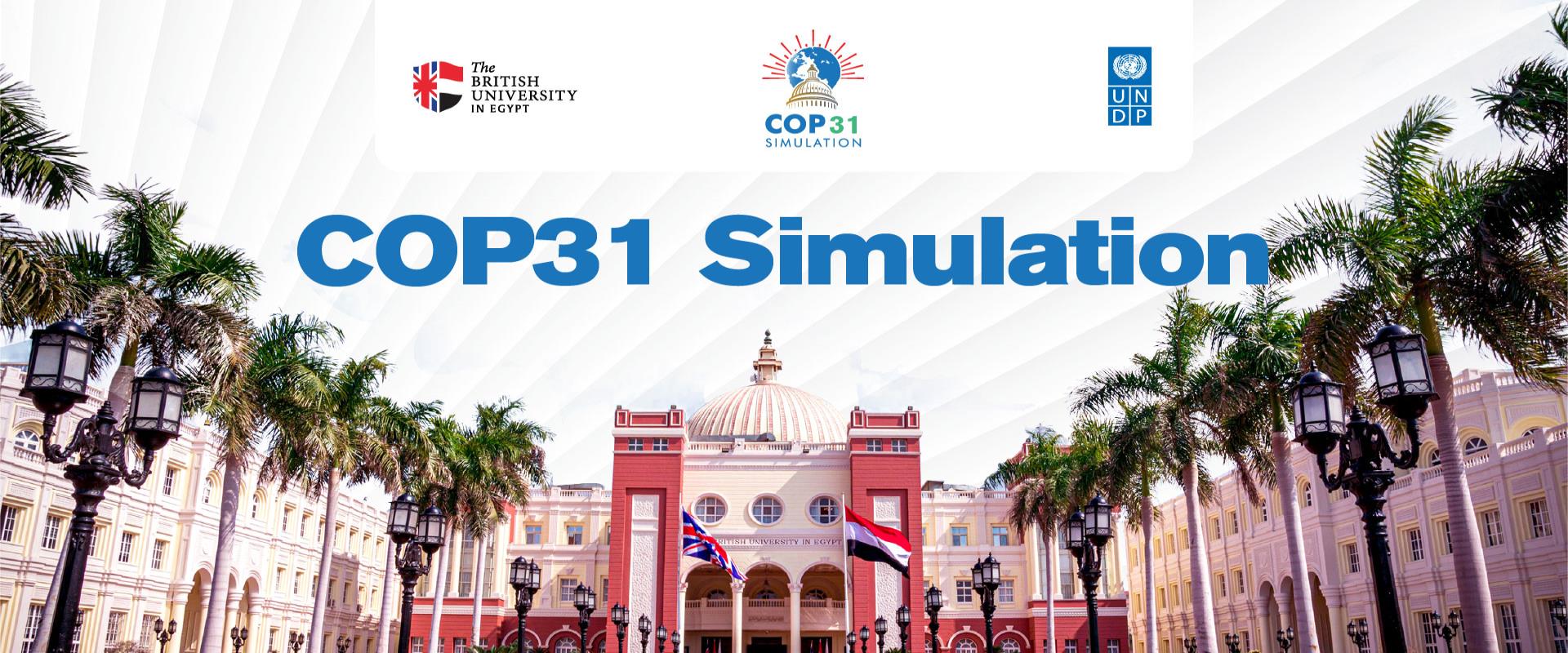 COP31 Simulation
